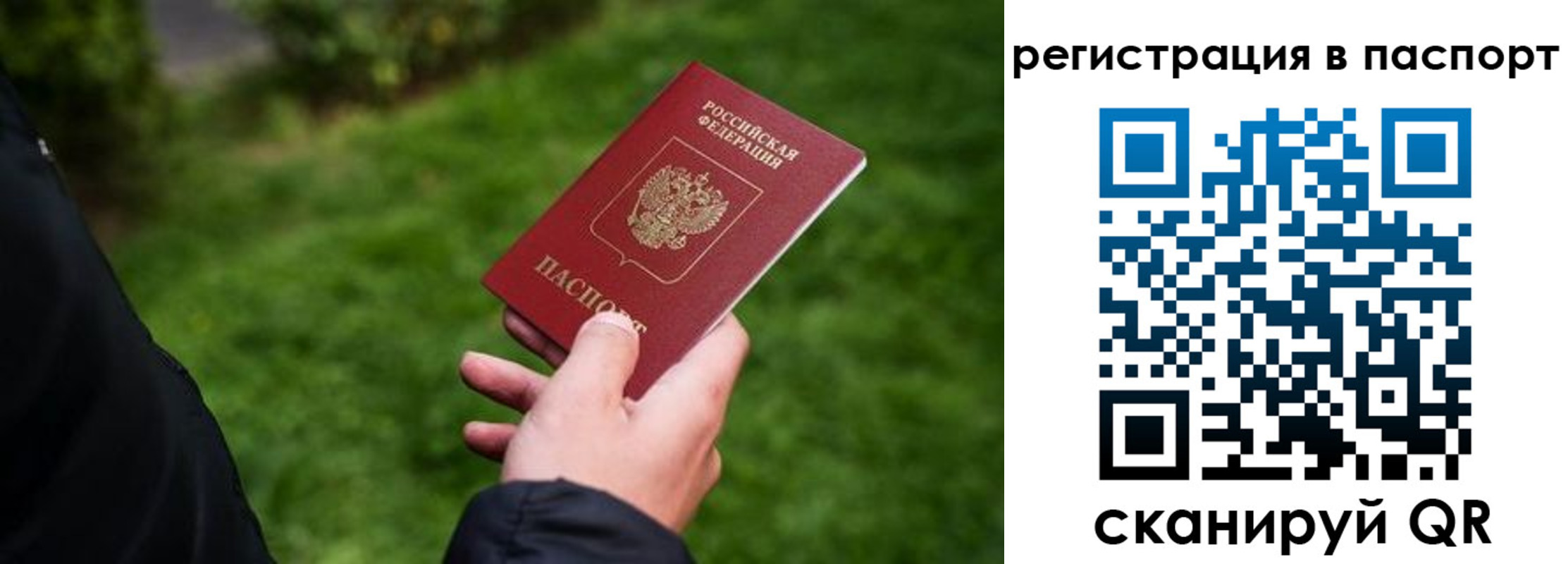 где прописаться в Королёве
