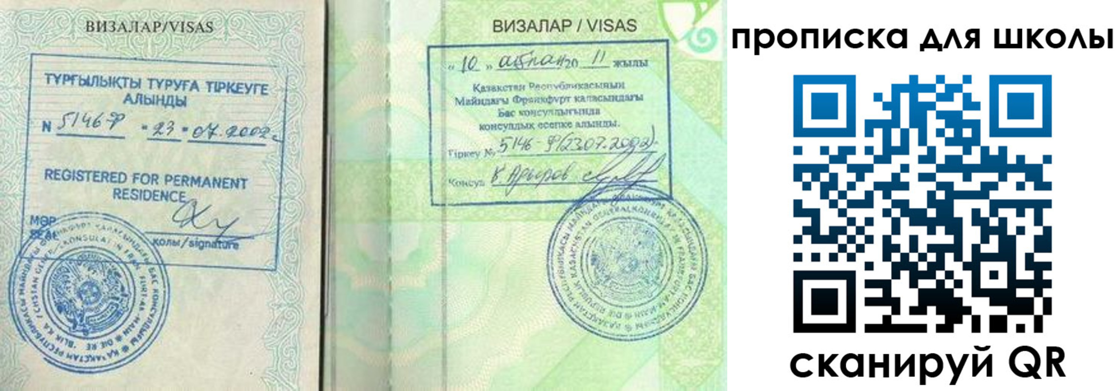 временная регистрация поиск в Королёве